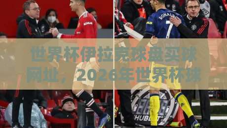 世界杯伊拉克球盘买球网址，2026年世界杯球迷必读的投注风险与注意事项