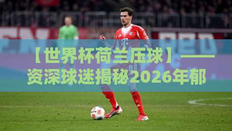 【世界杯荷兰压球】——资深球迷揭秘2026年郁金香军团的制胜密码