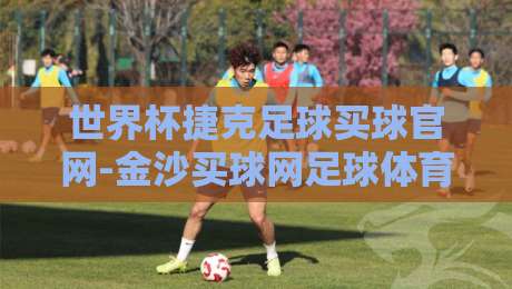 世界杯捷克足球买球官网-金沙买球网足球体育，2026年球迷必须留意的三大安全购彩要点