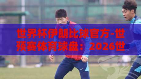 世界杯伊朗比球官方-世预赛体育球盘：2026世预赛亚洲区，伊朗队盘口深度解析