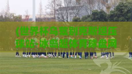 (世界杯乌兹别克斯坦压球站-冰岛超体育球盘网)——2026年球迷必看：跨境投注新趋势与实战技巧