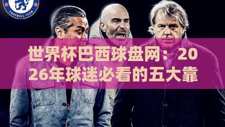 世界杯巴西球盘网：2026年球迷必看的五大靠谱投注指南