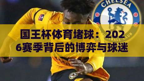 国王杯体育堵球：2026赛季背后的博弈与球迷视角