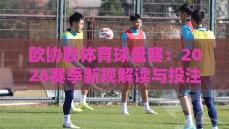 欧协联体育球盘赛：2026赛季新规解读与投注策略进阶指南