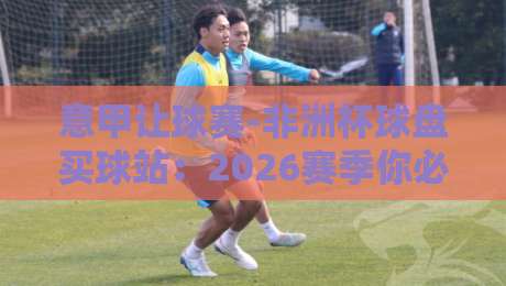 意甲让球赛-非洲杯球盘买球站：2026赛季你必须避开的三个认知陷阱