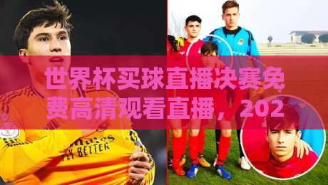 世界杯买球直播决赛免费高清观看直播,2026年球迷必看指南 世界杯买球直播决赛免费高清观看直播,2026年球迷必看指南