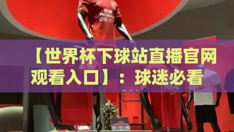 【世界杯下球站直播官网观看入口】：球迷必看的2026年官方观赛指南