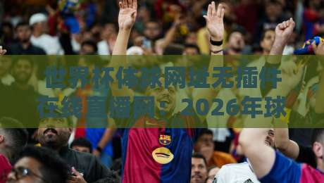 世界杯体球网址无插件在线直播网：2026年球迷最爱的观赛新选择