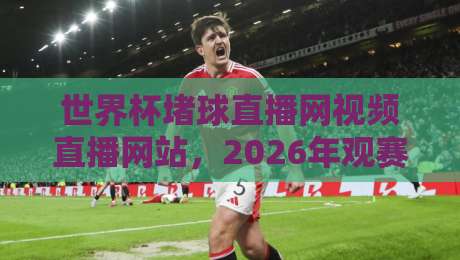 世界杯堵球直播网视频直播网站，2026年观赛指南：如何选靠谱平台？