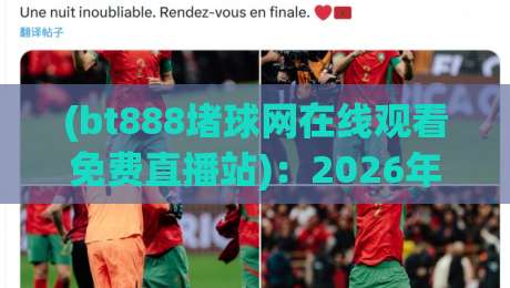 (bt888堵球网在线观看免费直播站)：2026年实测，这三点让你看球赛不再愁