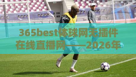 365best体球网无插件在线直播网——2026年观赛新体验，告别卡顿的秘诀！