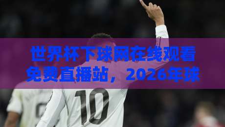 世界杯下球网在线观看免费直播站，2026年球迷必看的观赛指南！
