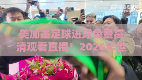 美加墨足球进球免费高清观看直播！2026年世界杯观赛全攻略