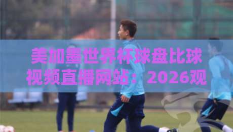 美加墨世界杯球盘比球视频直播网站：2026观赛与盘口分析终极指南