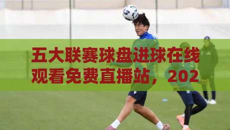 五大联赛球盘进球在线观看免费直播站，2026年老球迷的新发现！