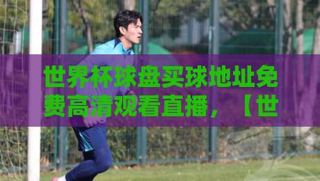 世界杯球盘买球地址免费高清观看直播，【世界杯球盘买球地址免费高清观看直播】2026年观赛必备：免费高清直播平台与球盘地址安全获取方法全攻略