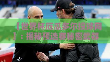 【世界杯厄瓜多尔投球网】: 揭秘预选赛秘密武器，如何助球队锁定出线？