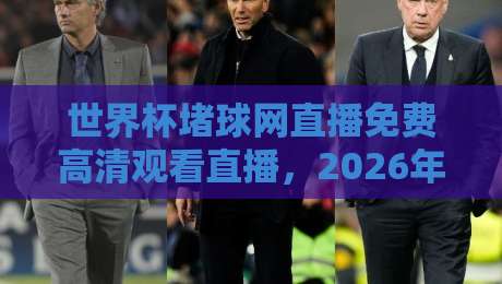 世界杯堵球网直播免费高清观看直播，2026年球迷必备指南！