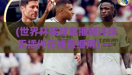 (世界杯买球直播网评球无插件在线直播网) — 2026年看球新姿势，告别卡顿与延迟