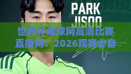 世界杯堵球网高清比赛直播网：2026观赛必备，这些细节你注意了吗？