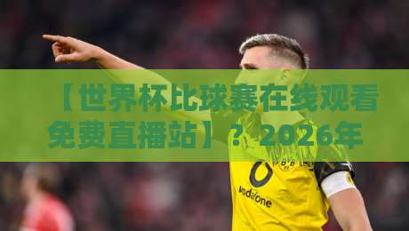 【世界杯比球赛在线观看免费直播站】？2026年球迷必藏的5个观赛捷径