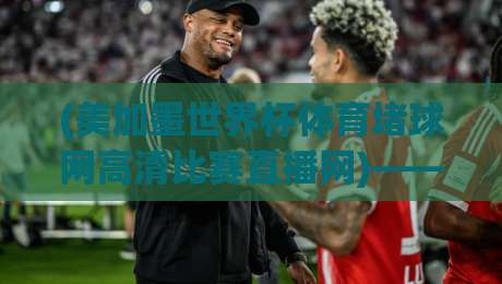 (美加墨世界杯体育堵球网高清比赛直播网)——2026年观赛指南，谁才是真香之选？