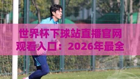 世界杯下球站直播官网观看入口：2026年最全观赛指南与隐藏功能揭秘