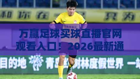 万赢足球买球直播官网观看入口!2026最新通道与使用技巧全解析 万赢足球买球直播官网观看入口!2026最新通道与使用技巧全解析