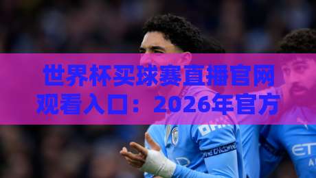世界杯买球赛直播官网观看入口：2026年官方观赛渠道全攻略