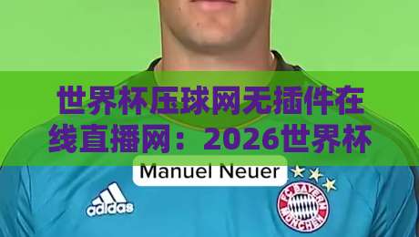 世界杯压球网无插件在线直播网：2026世界杯观赛新选择，告别卡顿与插件烦恼