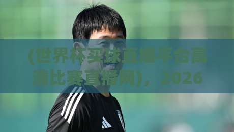 (世界杯买球直播平台高清比赛直播网)，2026年观赛必备的高清渠道全解析