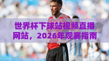 世界杯下球站视频直播网站,2026年观赛指南:避开套路,找到真直播 世界杯下球站视频直播网站,2026年观赛指南:避开套路,找到真直播