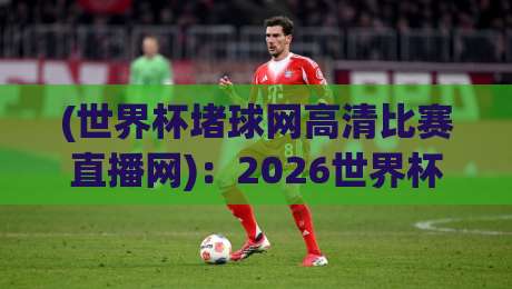 (世界杯堵球网高清比赛直播网)：2026世界杯观赛指南与平台推荐