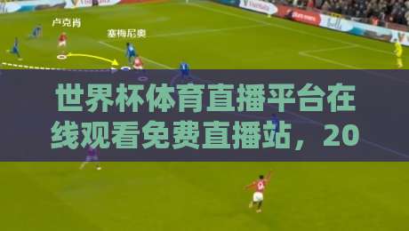 世界杯体育直播平台在线观看免费直播站，2026年看球新姿势！（世界杯体育直播平台）