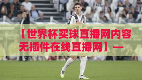 【世界杯买球直播网内容无插件在线直播网】——2026年球迷必备的高清零卡顿体验指南