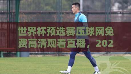 世界杯预选赛压球网免费高清观看直播，2026年球迷必看指南！