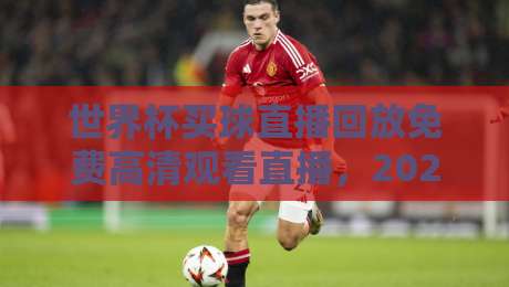 世界杯买球直播回放免费高清观看直播,2026年球迷必读攻略