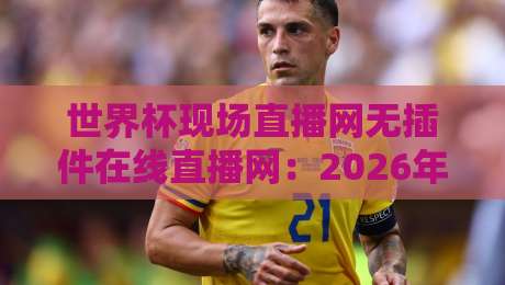 世界杯现场直播网无插件在线直播网:2026年看球新姿势,告别卡顿与插件烦恼
