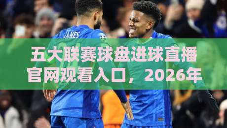 五大联赛球盘进球直播官网观看入口,2026年这些平台值得一试(五大联赛球盘)