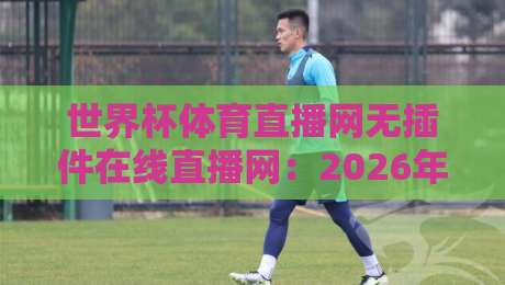 世界杯体育直播网无插件在线直播网：2026年观赛必备指南