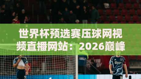 世界杯预选赛压球网视频直播网站:2026巅峰对决,这里才是硬核观赛入口