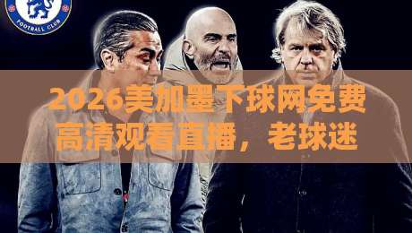 2026美加墨下球网免费高清观看直播,老球迷私藏的观赛攻略来了!