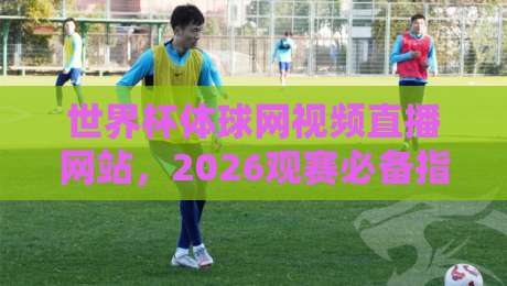 世界杯体球网视频直播网站，2026观赛必备指南！