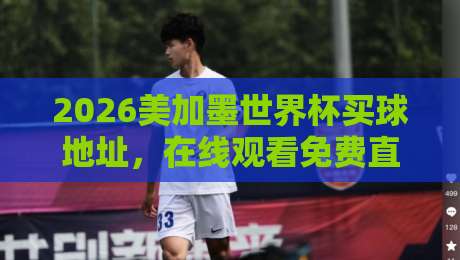 2026美加墨世界杯买球地址，在线观看免费直播站全攻略（2026版）