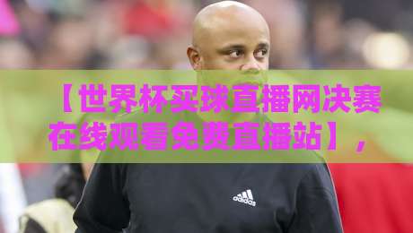 【世界杯买球直播网决赛在线观看免费直播站】，2026年决赛免费观看全攻略
