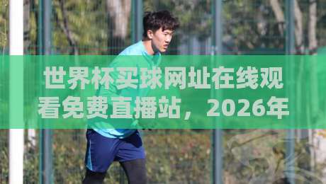 世界杯买球网址在线观看免费直播站，2026年球迷必看指南！