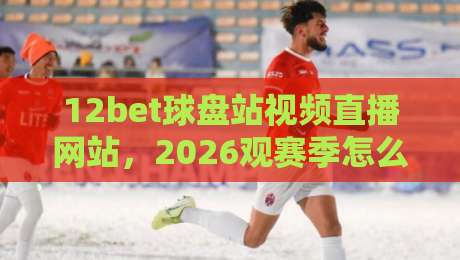 12bet球盘站视频直播网站,2026观赛季怎么挑才不踩坑?
