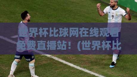 世界杯比球网在线观看免费直播站！(世界杯比球网)2026观赛神器大揭秘