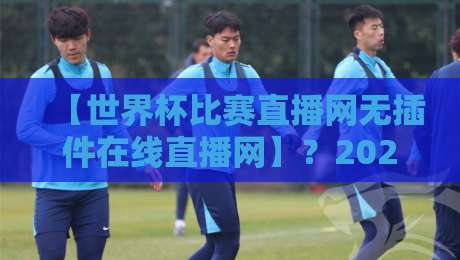 【世界杯比赛直播网无插件在线直播网】?2026球迷私藏观赛渠道全盘点,速收藏