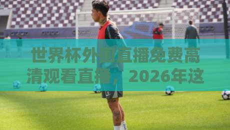 世界杯外围直播免费高清观看直播,2026年这些渠道别错过
